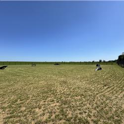 Dog Agility Course at Cosgrove Park