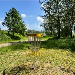 Disc Golf at Cosgrove Park