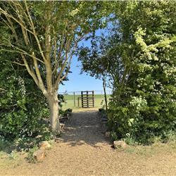 Dog Agility Course at Cosgrove Park