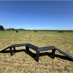 Dog Agility Course at Cosgrove Park
