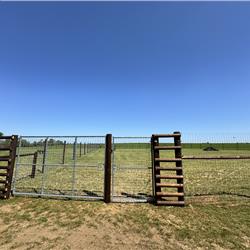 Dog Agility Course at Cosgrove Park