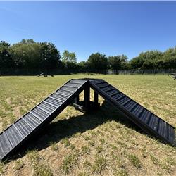 Dog Agility Course at Cosgrove Park