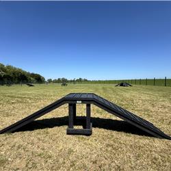 Dog Agility Course at Cosgrove Park