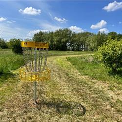 Disc Golf at Cosgrove Park