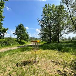 Disc Golf at Cosgrove Park