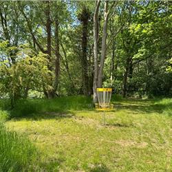Disc Golf at Cosgrove Park
